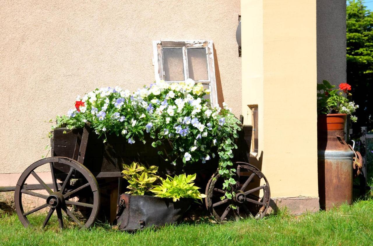 Pokoje Goscinne Ewela Łeba Exterior foto